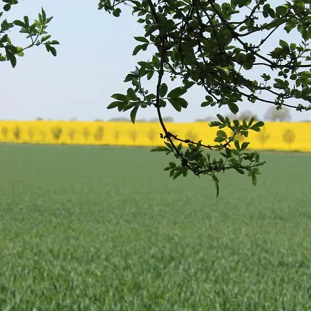 In Dargun, Mecklenburg Mit Schwimmbad