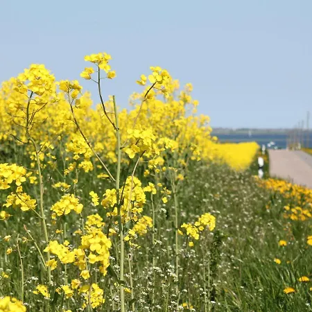 In Dargun, Mecklenburg Mit Schwimmbad *